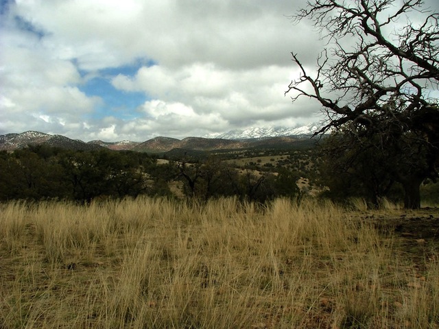 Mexico Border Trail